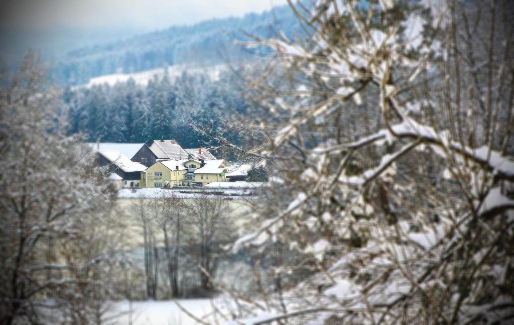 Hotel Der Seehof Hauzenberg Exteriér fotografie